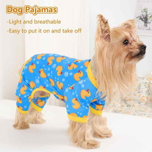 ybg  Lp pW} [EFA 킢 Aq hbOEFA LbgEFA ^ ^ u[ XS S M L