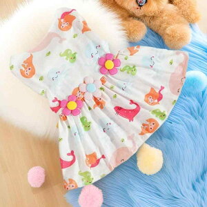  L ybgpXJ[g t 킢 C̐  |GXe ^ ^