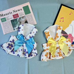   L  ybgp  XJ[g ^ ^ |GXe  킢 t H p[v IW sN CG[