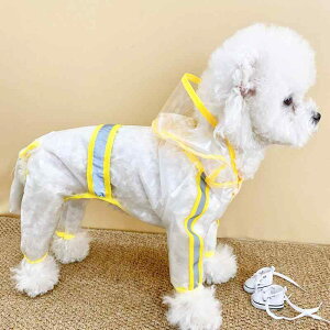 pCR[g ybgp Sgh ܂H efB ^ ^ 킢 F 