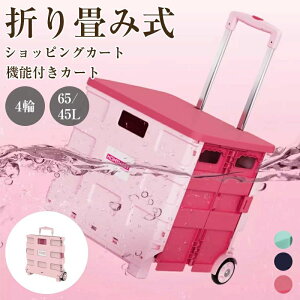 VbsOJ[g 4 ܂肽 VbsOJ[g ܂肽  e J[g bv J[g VbsOobO y y L[obO h GRobN [ ̓