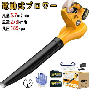 duA[ nCp[ uA[ [d R[hXu[ nfB R[hX iϑ   ᑛ U y 273km/h 21V eʃobe꓋ 18Vobe[ɑΉ\ 