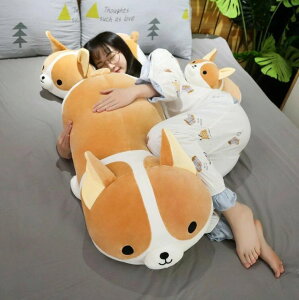 ʂ   R[M[ 傫TCY 킢  ObY ӂӂ  ܂ Aj} NbV a 蕨 v[g Mtg 80cm