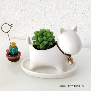 Z[悠裁@~j v^[ Aؔ A T{e Z~bN g[t ~j ϗtA ETM lR Jo  z[  ̓ 