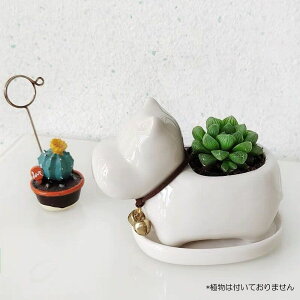 Z[悠裁@~j v^[ Aؔ A T{e Z~bN g[t ~j ϗtA ETM lR Jo  z[  ̓ 