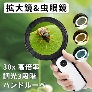 [@30{ { g勾 LEDCgt 30{ ዾ [y { ₷ g僌Y 3iK [y 莝[y 12LEDCgt Ǐ[y ዾ y Ǐ ώ@ ΊӒ 