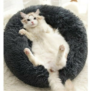 ybgnEX Lpxbh L h[  h[ ybgxbh ^ L ybgpi lR xbh  Lxbh pxbh }bg NbV h   ۉ h lG@TCY