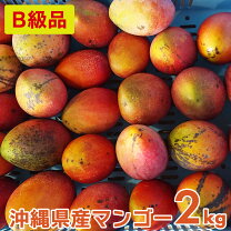 楽天市場】沖縄 マンゴー（総個数4個入り）の通販