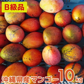 【送料無料】超特価！在庫限り！B級品マンゴー【1・2・3・5・10kg】 マンゴー ドライマンゴー お中元 沖縄 グルメ 冷凍マンゴー 訳あり 無添加 1玉 マンゴー苗木 保存の仕方 切り方 完熟マンゴー ドライ ミニマンゴー 食べごろ マンゴースイーツ 送料無料
