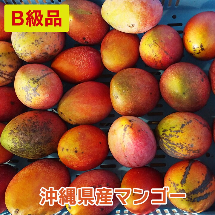 楽天市場】【送料無料】超特価！在庫限り！B級品マンゴー【1kg・2kg  