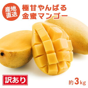 yzy󂠂zɊÂ΂}S[1E2E3kg }S[ z̃^}S }S[W[X  {Ó n ^C  A ƒp {茧 }S[`R G XC[c X