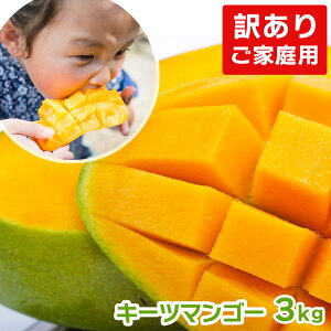 �y���������z�j�I�y�V�����L���ONo.1��܁I�y�󂠂�L�[�c�}���S�[��2.4kg�`3kg(�ƒ�p)�z �������� �ʕ� �L�[�c�}���S�[ �}���S�[ ���n�}���S�[ ���n �Y�n���� �󂠂� �G�i ����Y ���Y �ʔ� 