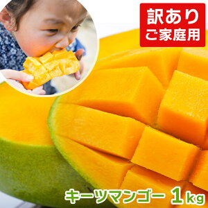 yzyVLO1ʊlIy󂠂L[c}S[800g`1kg(ƒp)z  ʕ L[c}S[ }S[ n}S[ n Yn 󂠂 Gi Y Y ʔ v