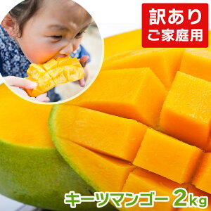 yzjIyVLONo.1܁Iy󂠂L[c}S[1.6kg`2kg(ƒp)z  ʕ L[c}S[ }S[ n}S[ n Yn 󂠂 Gi Y Y ʔ 