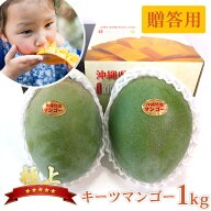 祝！楽天ランキングNo.1受賞！【送料無料】【極上やんばるキーツマンゴー約800g～1kg( 贈答用 ) 】 送料…