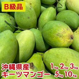 【送料無料】楽天ランク1位獲得！超特価！B級品キーツマンゴー【1kg・2kg・3kg・5kg・10kg】 マンゴー ドライマンゴー お中元 沖縄 グルメ 冷凍マンゴー 訳あり 無添加 1玉 マンゴー苗木 保存の仕方 完熟マンゴー ドライ ミニマンゴー 食べごろ マンゴースイーツ