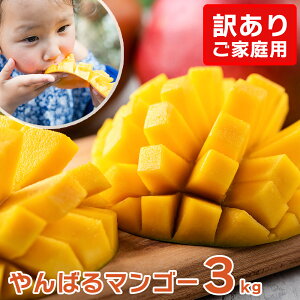 �y���������z�j�I�y�V�����L���ONo.1��܁I�y�󂠂�}���S�[��3kg�z �}���S�[ �󂠂� ���z�̃^�}�S �}���S�[�W���[�X �{�� 2kg �{�Ó� ���n 2l �^�C ���� ��A�� �ƒ�p �G �X�C�[�c �X���[�W�[