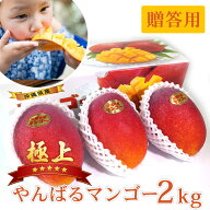 【送料無料】極上やんばるマンゴー約2kg【贈答用】 マンゴー 太陽のタマゴ マンゴージュース 宮崎 2kg 宮…