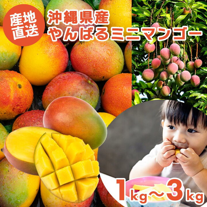 楽天市場】【送料無料】【ミニマンゴー約1・2・3kg 】 マンゴー 太陽の 