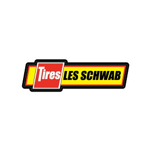 088 LES SCHWAB ^CZ^[b AJXebJ[ X[cP[X V[ XebJ[ ϐ ώO Op JtHjAXebJ[ op[XebJ[