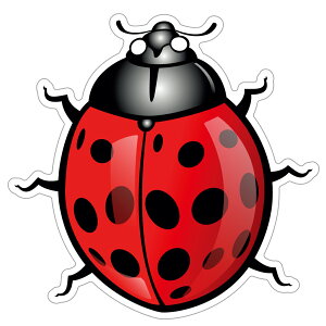 125 egEV ladybird bAJXebJ[ X[cP[X V[ XebJ[ ϐ ώO Op JtHjAXebJ[ op[XebJ[@CALIFORNIA LOS ANGELES