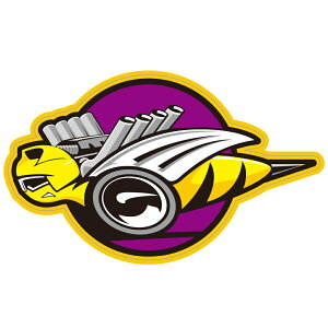 156 RUNBLE BEEbAJXebJ[ X[cP[X V[ XebJ[ ϐ ώO Op JtHjAXebJ[ op[XebJ[ RUMBLE BEE DODGE _ba