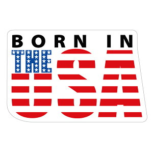 253@BORN in the USA AJXebJ[ X[cP[X V[ XebJ[ ϐ ώO Op JtHjAXebJ[ op[XebJ[ AJ܂ og AJl AMERICAN