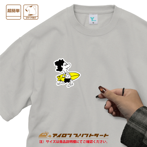 065@SURF BOY /@DTF@ACvg@IWiTVc@IWiAp@IWivg