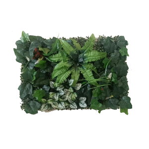 y|Cgő20{ N[|sIztFCNO[ pltFCN Ǌ| O[pl IuWF ډBEH[O[ O[J[e   ϗtA lHA 