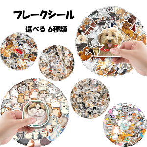 yX[p[Z[Pő20{ N[|sIzt[NV[  L  ˂ 킢 V[ XebJ[ Ck lR x 蒠fR R[Wf V[  CkD lRD