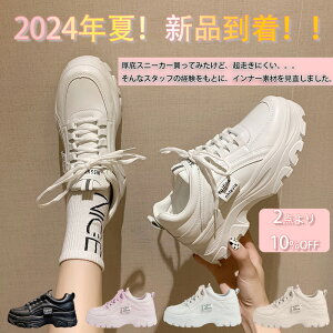 _~  ~^ Xj[J[ fB[X Xj[J[ C ꂢ   ₷ y 5Z` H~ ʊw 40  50 ؍ C _CGbgXj[J[ 傫TCY lC