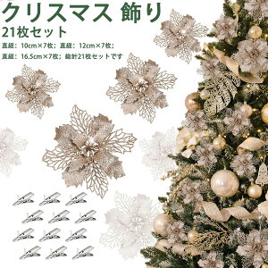 NX}X  I[ig 21 Nbvt |CZ`A  NX}Xc[ NX}X[X  t  LL  X  Vp