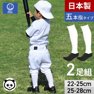 y{z5{w 2g 싅 p_ A_[\bNX 2PZbg p_\bNX C N WjA  l nC\bNX jp Y fB[X 싅pi