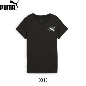 v[} PUMA GRAPHICS TRAIN CONCEPT OtBbNX gC RZvg jOTVc  EBY fB[X  EjOpi