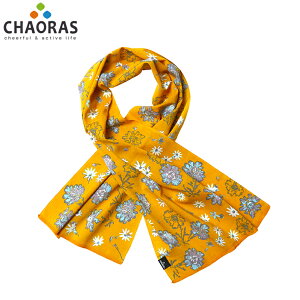 �`���I���XChaoras�X�|�[�c�Ăʂ����}�c���V�\�E�C���c���N�T��̓��v���[���g�����j���O�A�N�Z�T�����j�Z�b�N�X�y81060�z����E�����j���O�p�i