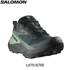 y10%OFFN[|sz T SALOMON GENESIS GORE-TEX WFlVX SAebNX jOV[Y C Y jEjOpi brdsa catsh priq8 disq2 dirq1