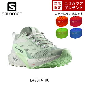 【サロモンセール 20%OFF & エコバックプレゼント】 サロモン SALOMON SENSE RIDE 5 ランニングシューズ 靴 ウィメンズ レディース 女性【l47314100】陸上・ランニング用品