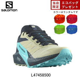 【エコバックプレゼント】サロモン SALOMON SENSE RIDE 5 センスライド 5 ランニングシューズ 靴 メンズ 男性
