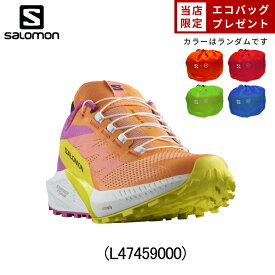 【エコバックプレゼント】サロモン SALOMON SENSE RIDE 5 センスライド 5 ランニングシューズ 靴 ウィメンズ レディース 女性 ランニング rss salomon shoes ladies