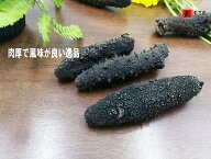 【関西産】B級品なまこ 1KG入り Mサイズ(5g以上) 【自家用訳あり品　キズあり、形崩れ】ナマコ・乾燥なま…