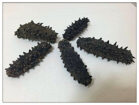 なまこ 北海道産 B級品 100g Mサイズ 5g以上 訳あり ナマコ 海鼠 乾燥なまこ 乾燥ナマコ 干しナマコ 干しなまこ 金ん子 自家用 キズあり 形崩れ 簡易包装 メール便 お試し 乾燥海鼠 なまこ乾物 乾燥海産物 海産物 乾物 中華食材 高級食材 珍味 水産物