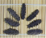【北海道産】AB級品 100g Sサイズ(3~8g)【ナマコ・乾燥なまこ・乾燥ナマコ・干しナマコ・干しなまこ・金…
