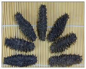 【お試し限定お一人様2点まで】【北海道産】乾燥なまこ【簡易包装】AB級品 50g Mサイズ8〜11g