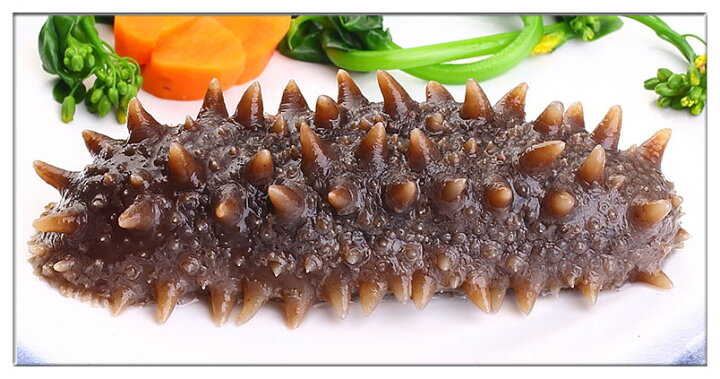 お試し北海道産 乾燥なまこ 50G入 2g以下 3Sサイズ A級品 なまこ ナマコ 海参 乾燥ナマコ 干しなまこ 干しナマコ 刺参 乾燥なまこ 檜山海参（ヒヤマハイシェン）』北海道産 約100g（特級ランク 1本7〜11g） ※常温【GI産品】｜美味お 取り寄せ。dancyu.com（ダンチュウドットコム）