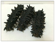 【北海道産】A級品 乾燥なまこ 250G8〜11g入 Mサイズ【ナマコ・乾燥なまこ・乾燥ナマコ・干しナマコ・干…