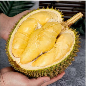 タイ産 ドリアン 生鮮 フレッシュ フルーツ 榴蓮 果物の王様 1玉