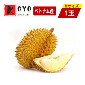 ベトナム産 ドリアン 生鮮 フレッシュ フルーツ 榴蓮 果物の王様 Mサイズ 1KG前後 1玉