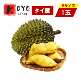 タイ産 ドリアン 1玉 Mサイズ 1kg前後 生鮮ドリアン フレッシュドリアン 榴蓮 生ドリアン 生鮮フルーツ フレッシュフルーツ 果物の王様 南国フルーツ トロピカルフルーツ 輸入フルーツ タイフルーツ 果物 フルーツ アジア食品 アジアフルーツ デザート おやつ 1キロ前後