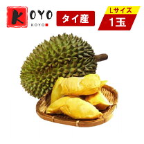 楽天市場】ドリアン フルーツの通販