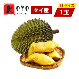 タイ産 ドリアン 生鮮 フレッシュ フルーツ 榴蓮 果物の王様LLサイズ 2.2kg〜2.9kg前後 1玉